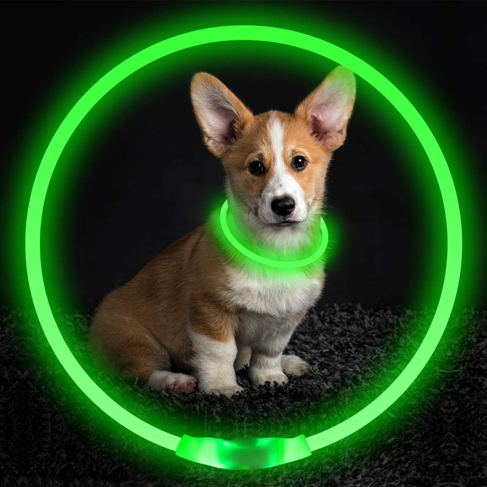 Collier lumineux à LED réglable et clignotant pour chien Collier lumineux pour p Collier lumineux à LED réglable et clignotant pour chien Collier lumineux pour p
