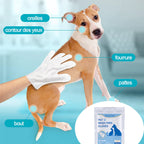 Gants de toilettage lavants