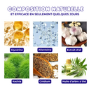 32x Patchs de Traitement Anti-Mycose pour Pieds