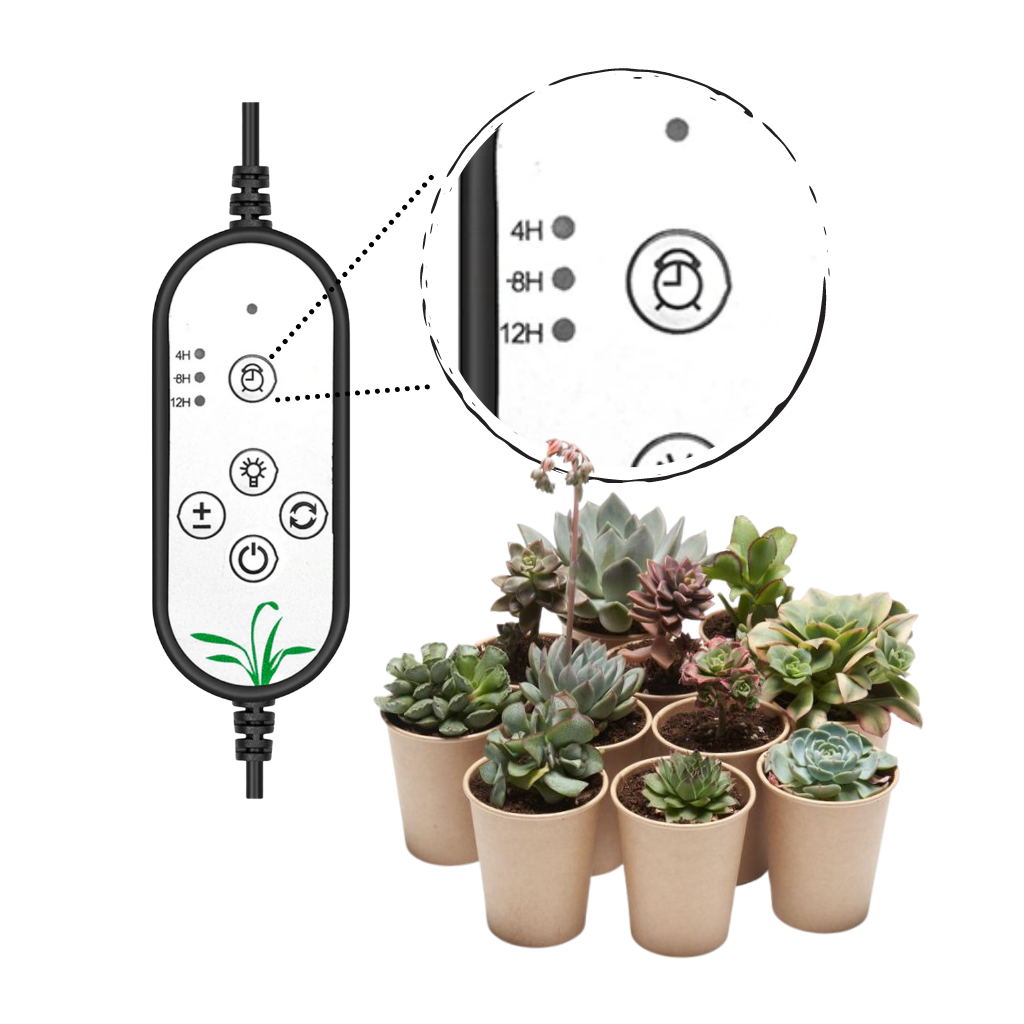 Lampe Horticole pour croissance des plantes