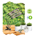 Lampe Horticole pour croissance des plantes