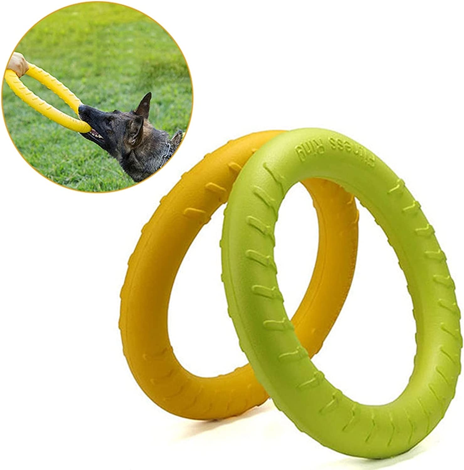 2 x Anneau Résistant Gros Chien