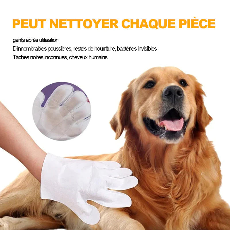 Gants de toilettage lavants