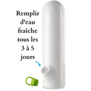 Bouteille conservatrice d'herbe aromatique