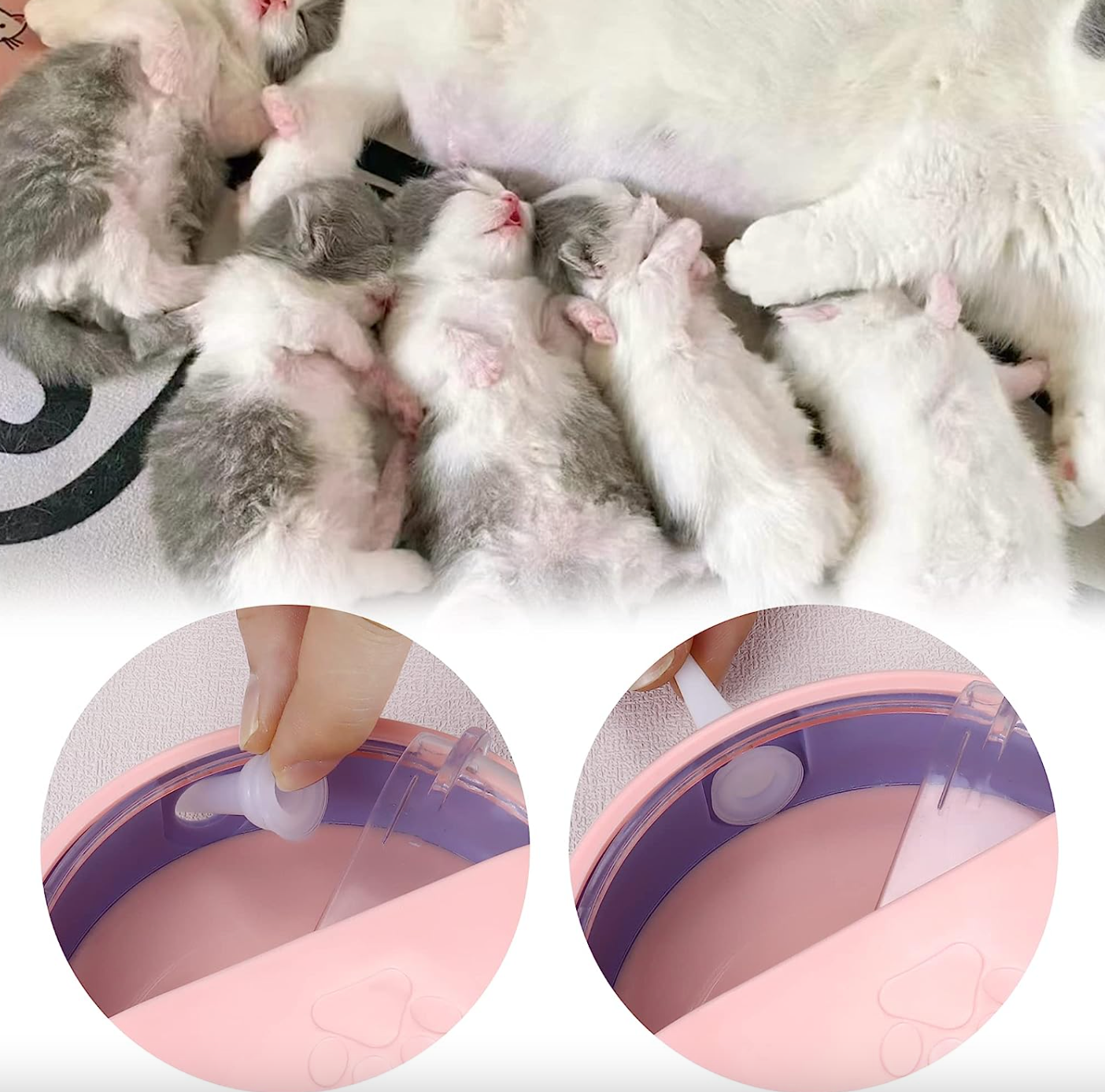 Gamelle Biberon Chat et Chien