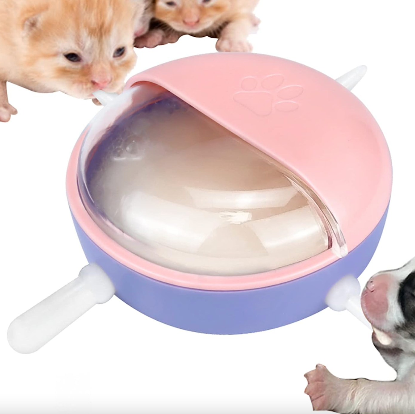 Gamelle Biberon Chat et Chien