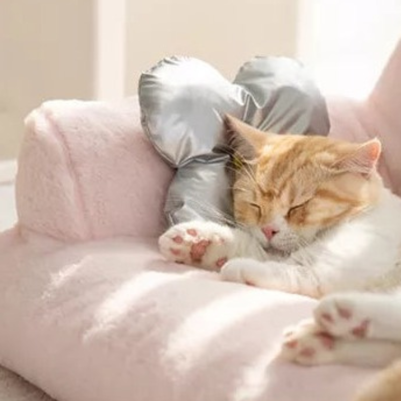 Coussin Pet Deluxe
