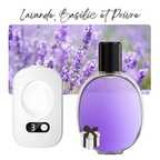 Diffuseur + Lavande Basilic & Poivre