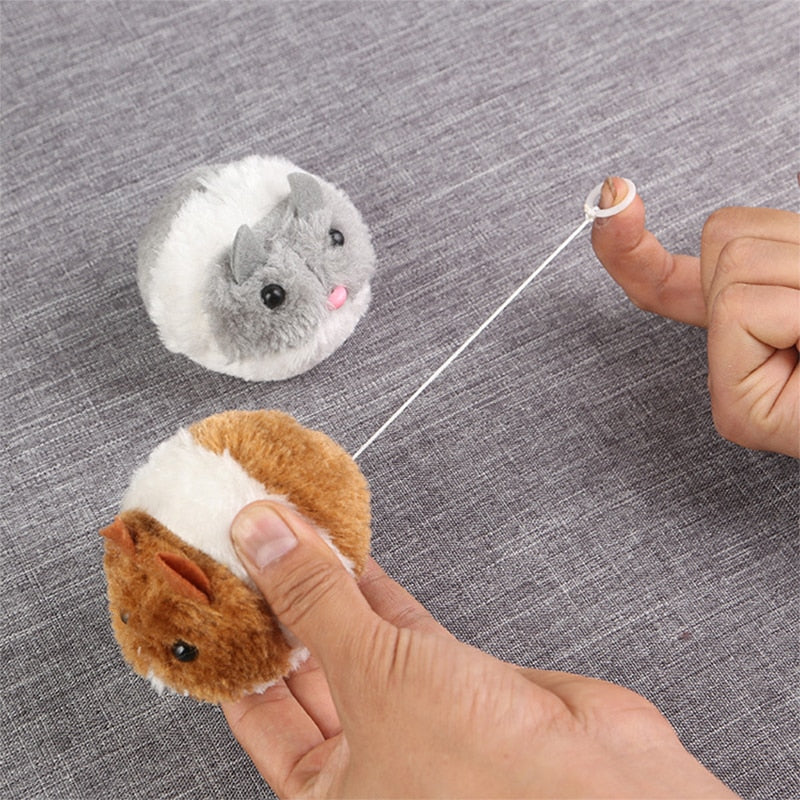Hamster Interactif