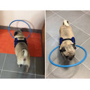 Collier Anti Collision Chien Handicapé