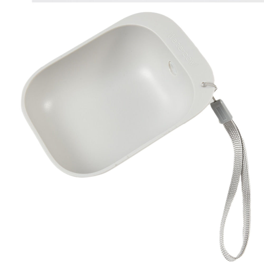 Portable water dispenser