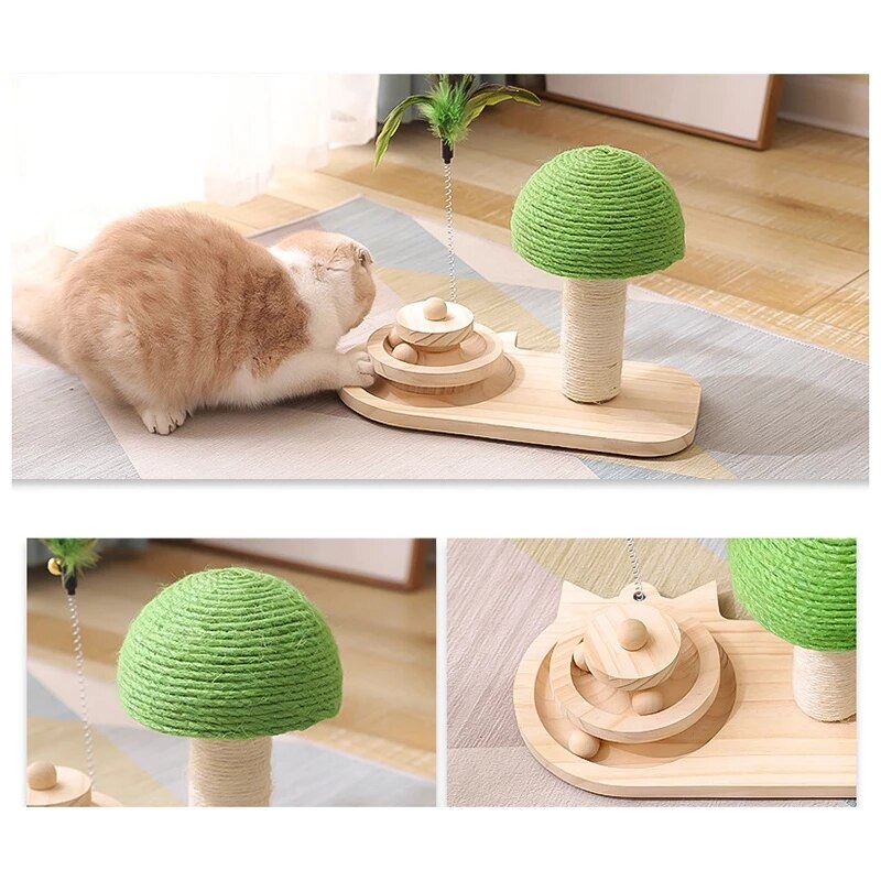 Griffoir Chat - Petit Arbre