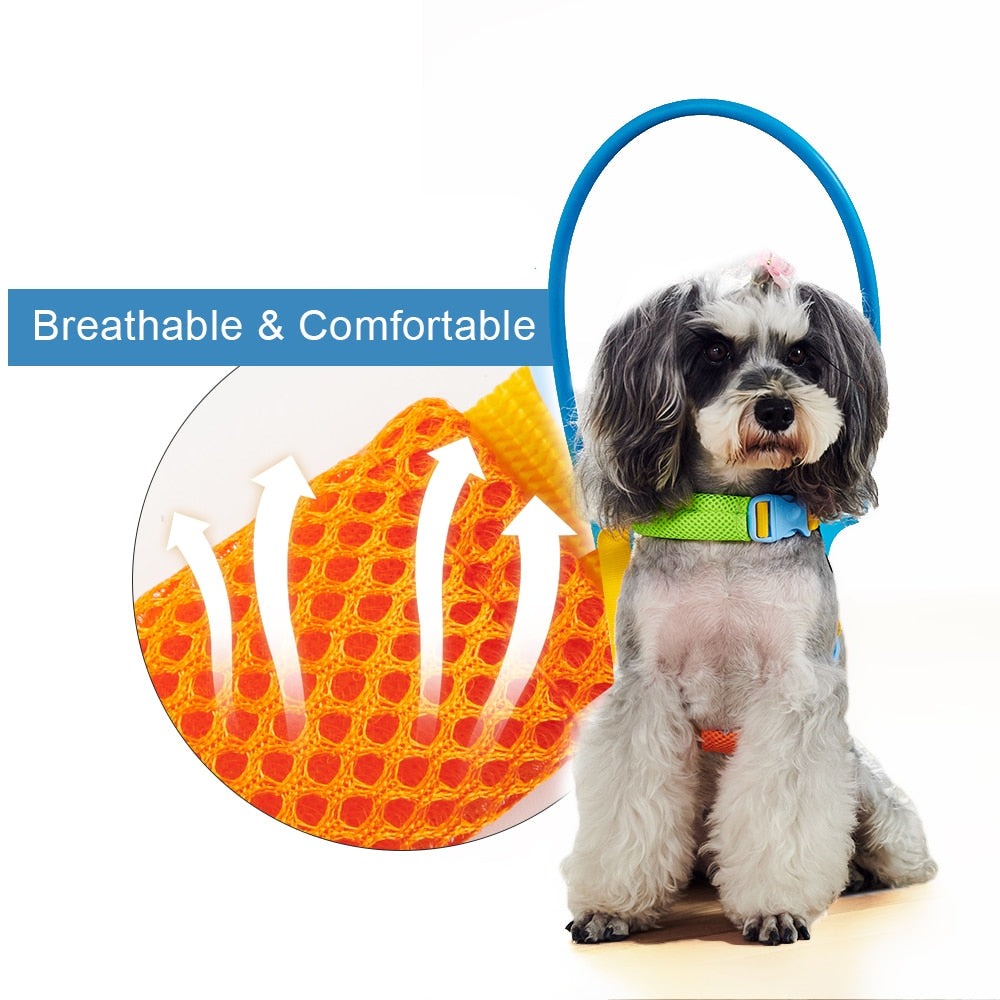 Collier Anti Collision Chien Handicapé