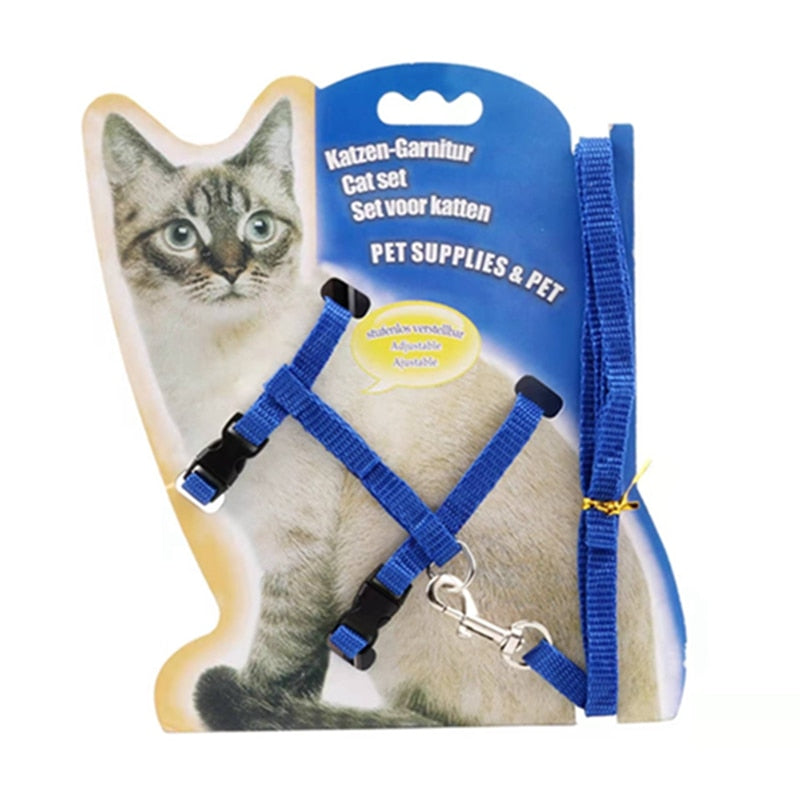 Harnais Chat Compact Seconde Peau