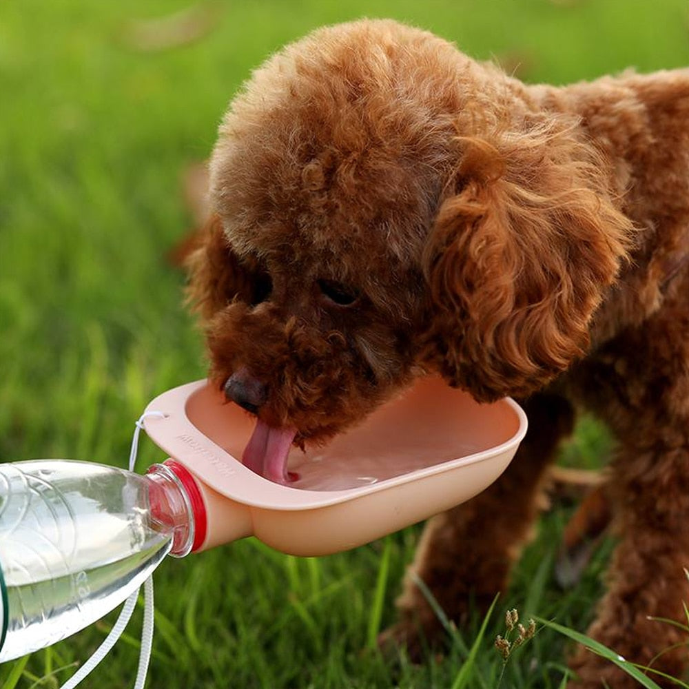 Distributeur d'eau portable