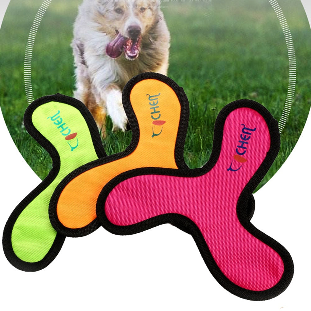 Frisbee