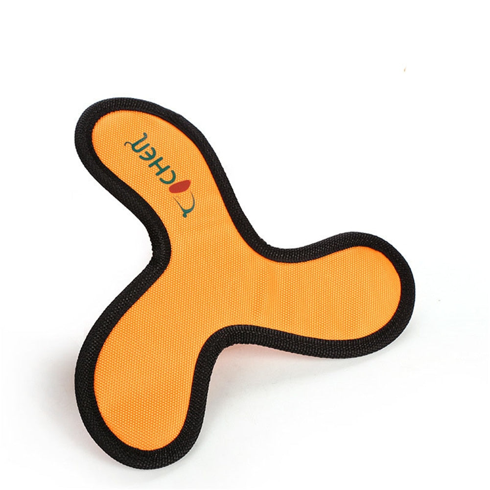Frisbee