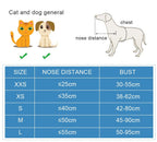 Collier Anti Collision Chien Handicapé