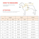 Gilet de sauvetage - Collection 2023