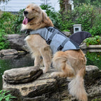Gilet de Sauvetage Design Poisson