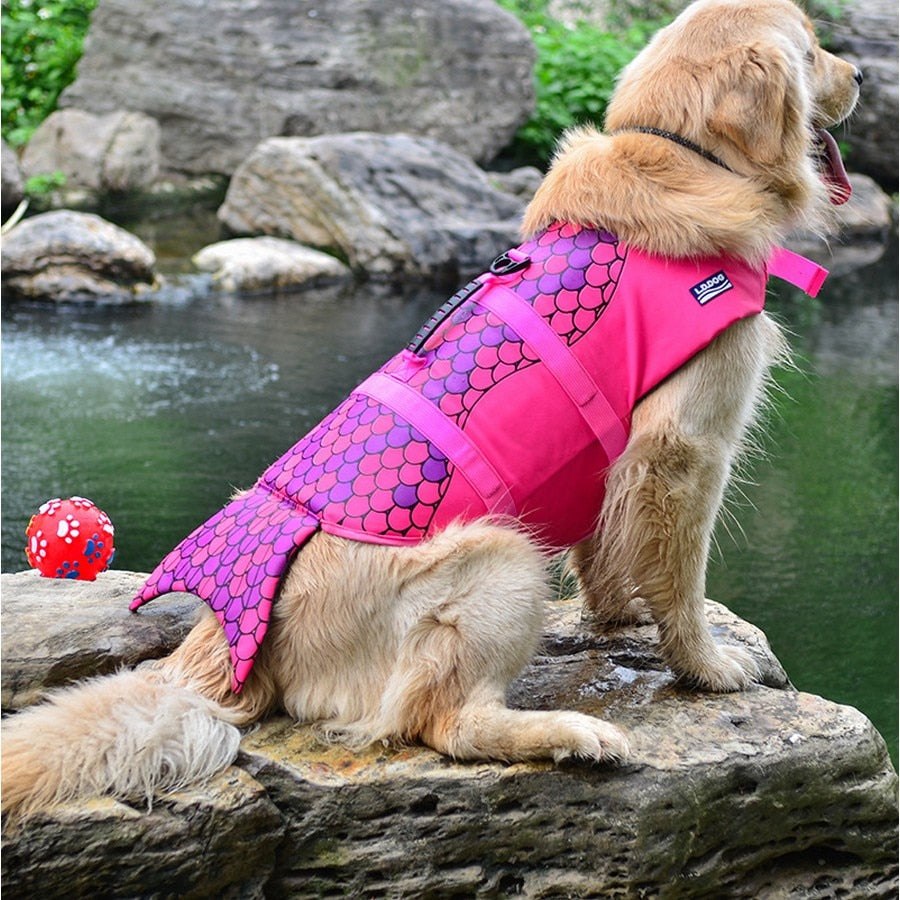 Gilet de Sauvetage Design Poisson