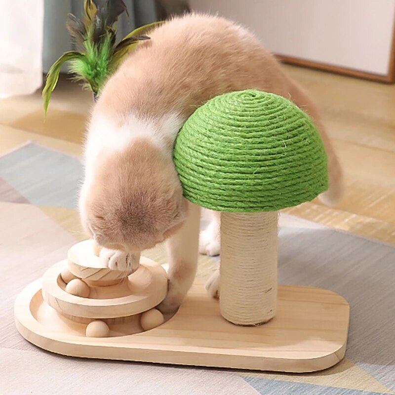 Griffoir Chat - Petit Arbre