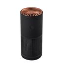 Purificateur d'air portable