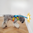 Collier Anti Collision Chien Handicapé