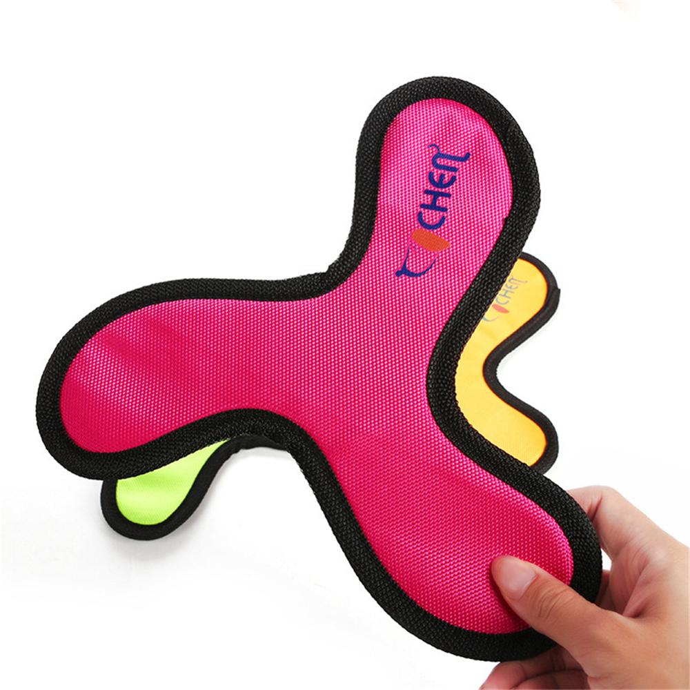 Frisbee