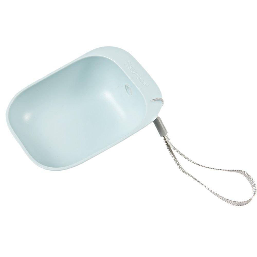 Portable water dispenser