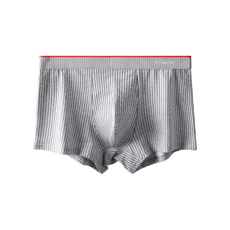 Lot de 4 Boxers Rayés en Coton Biologique