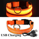 Collier avec éclairage LED waterproof - USB rechargeable