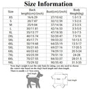 Sweat Adidog Tendance