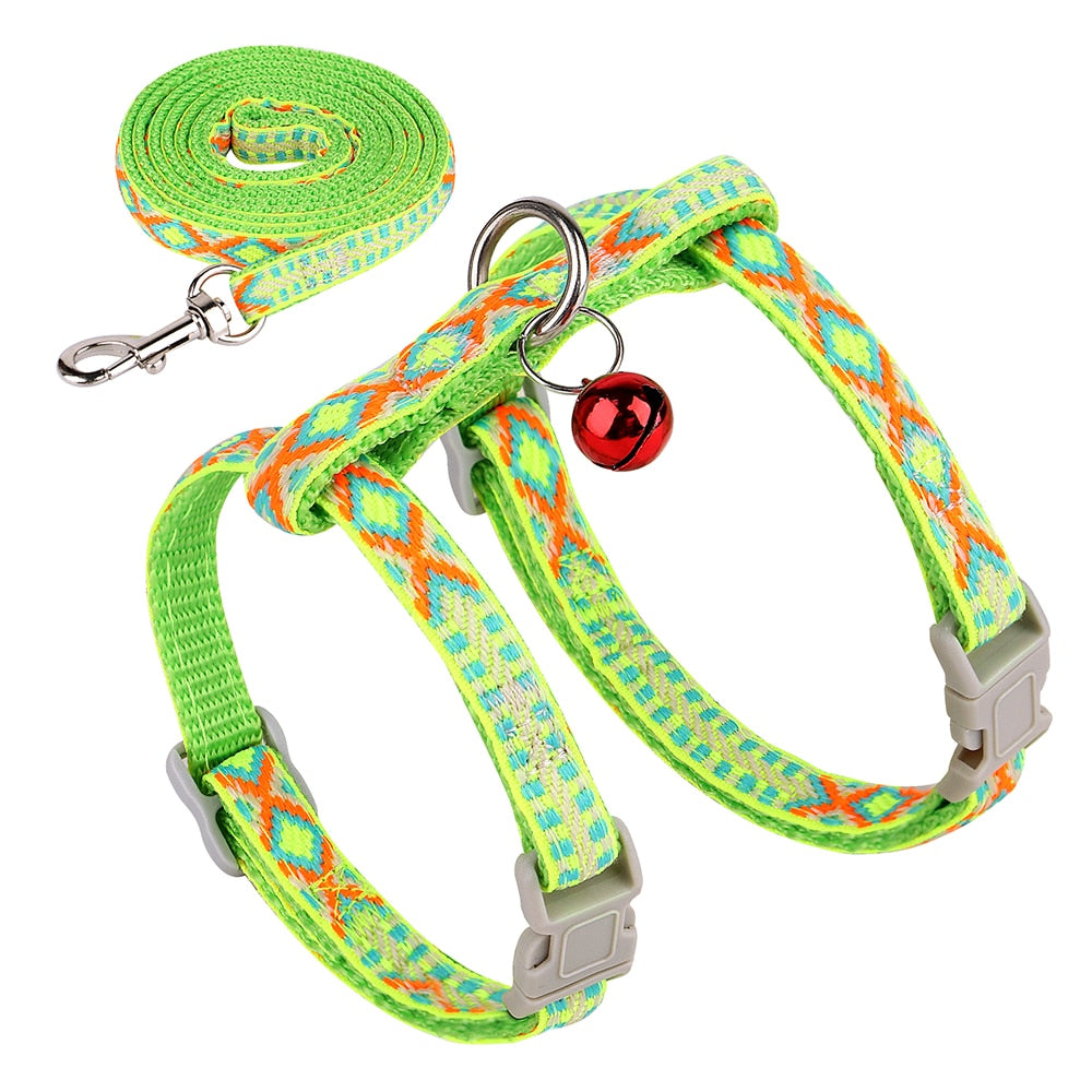 Ultra-Resistant Nylon Harness and Leash