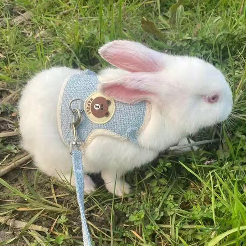Harnais + Laisse pour Lapin