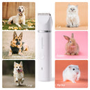 Kit Complet Tondeuse Chien