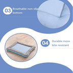 Coussin été