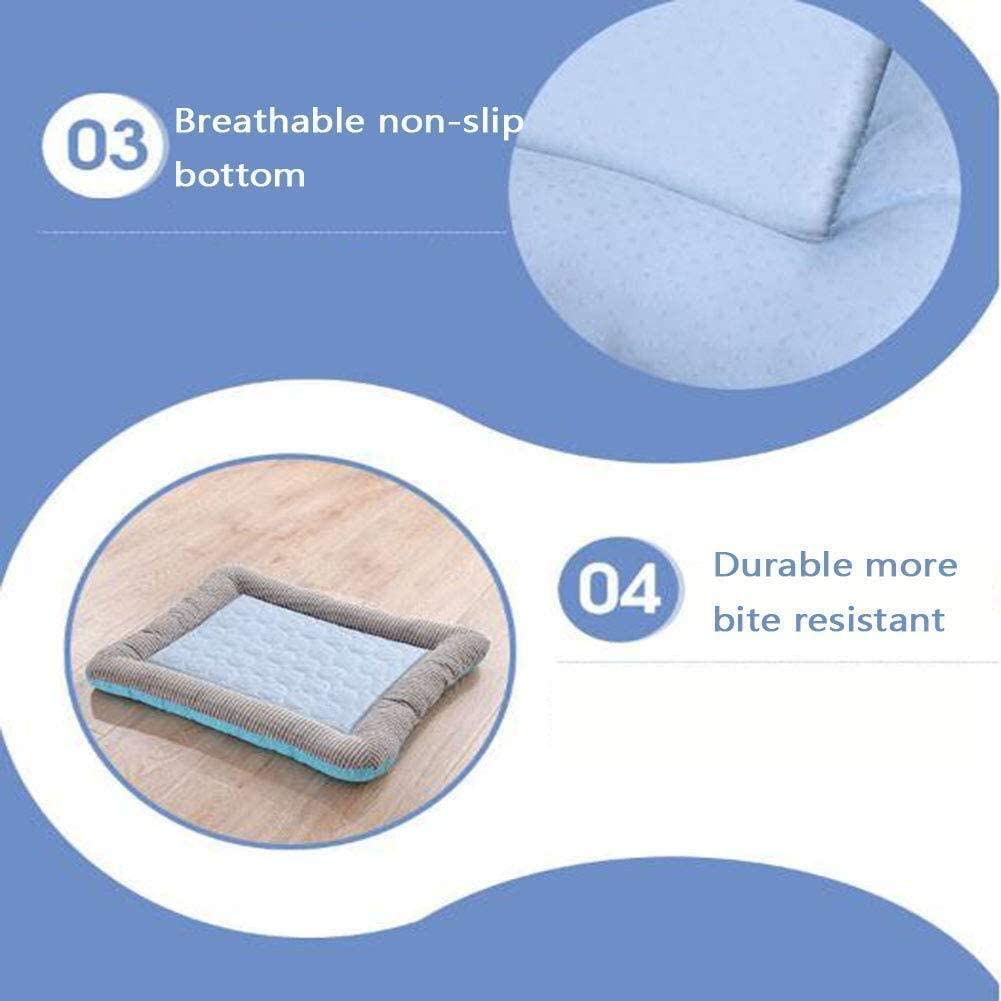 Coussin été