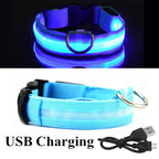 Waterproof LED collar light - USB rechargeable