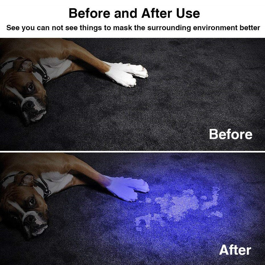 Lampe UV Détecteur Urine et Parasites