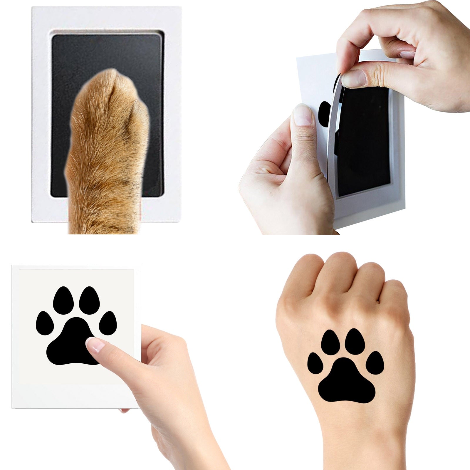 Lot de 2 Kits empreintes chiens tampons encreurs