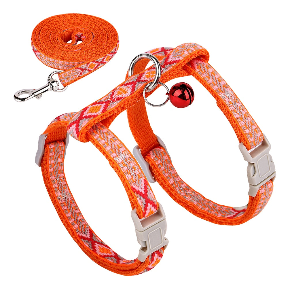 Ultra-Resistant Nylon Harness and Leash
