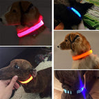 Collier avec éclairage LED waterproof - USB rechargeable