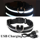 Collier avec éclairage LED waterproof - USB rechargeable