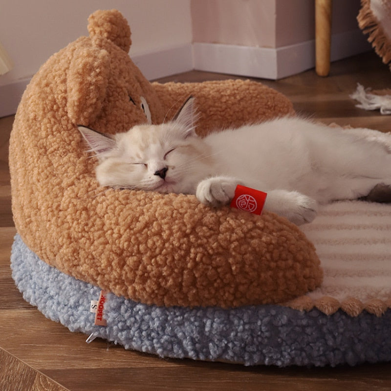 Cozy Big Cat