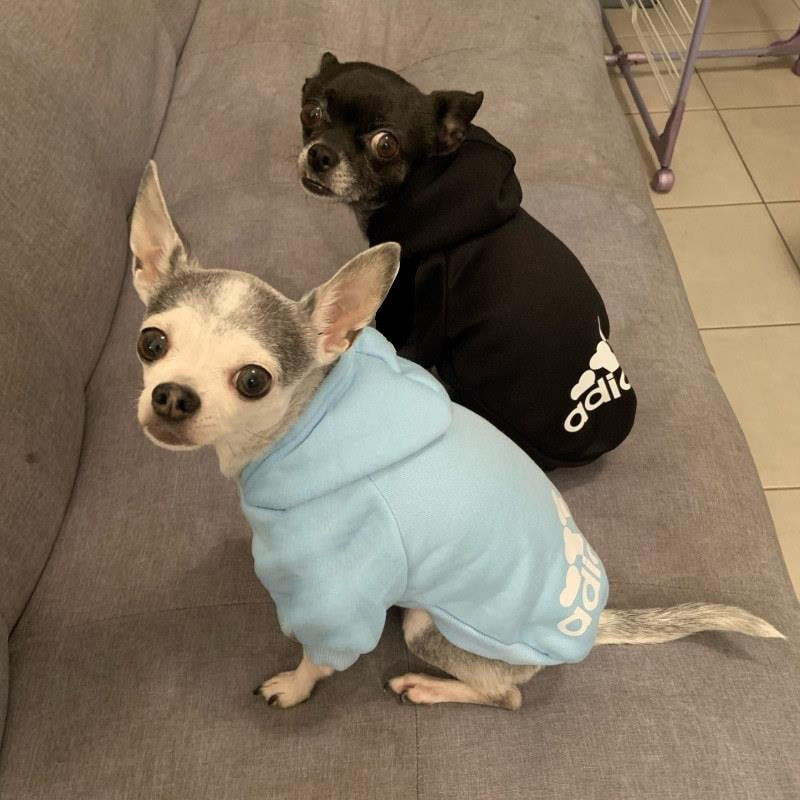 Sweat Adidog Tendance