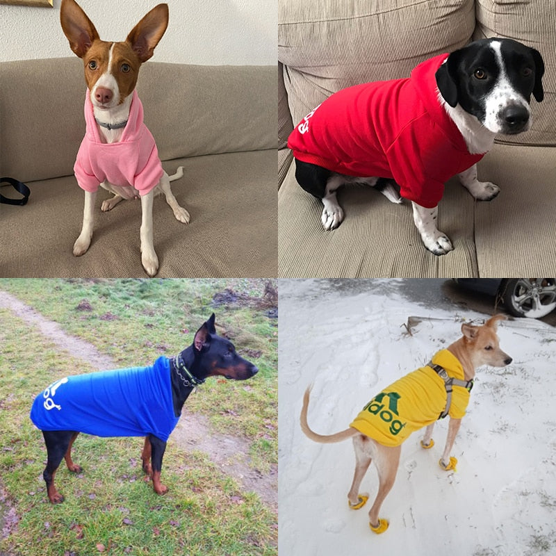 Sweat Adidog Tendance