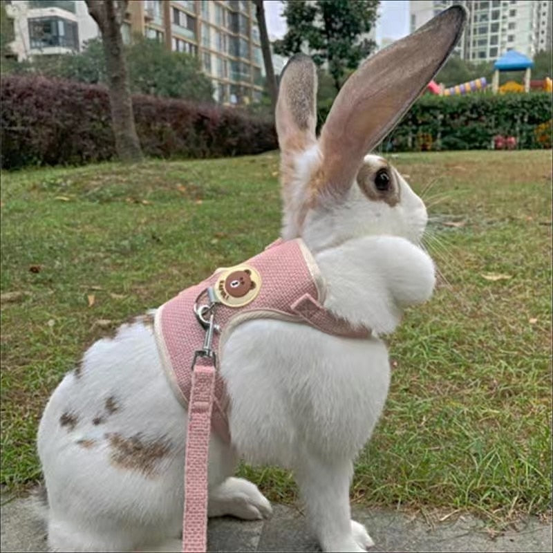 Harnais + Laisse pour Lapin