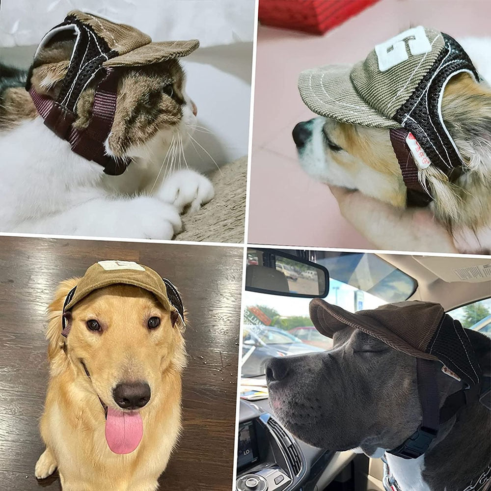 Casquette pour Chien Respirante