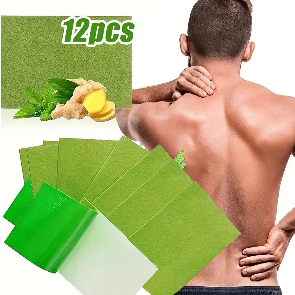 12Pcs